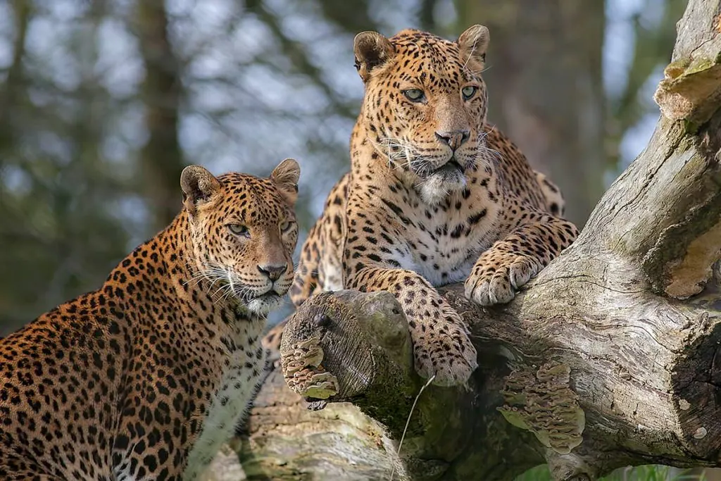 Tanzania travel image