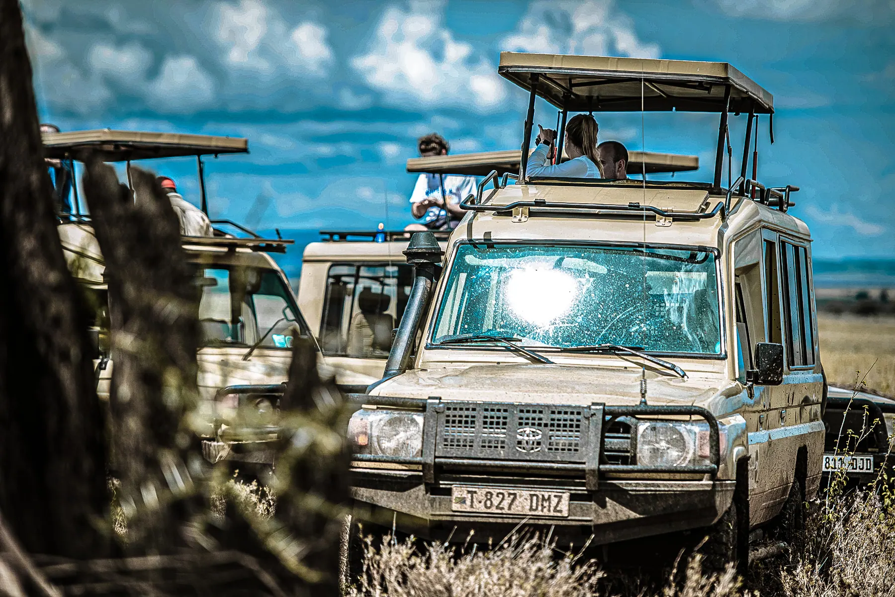 Tanzania travel image
