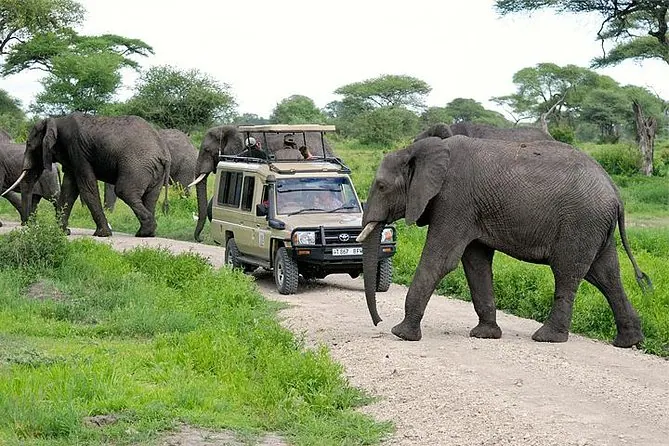 Arusha City Tour