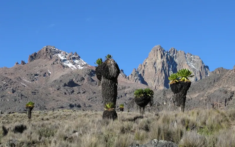 Tanzania travel image