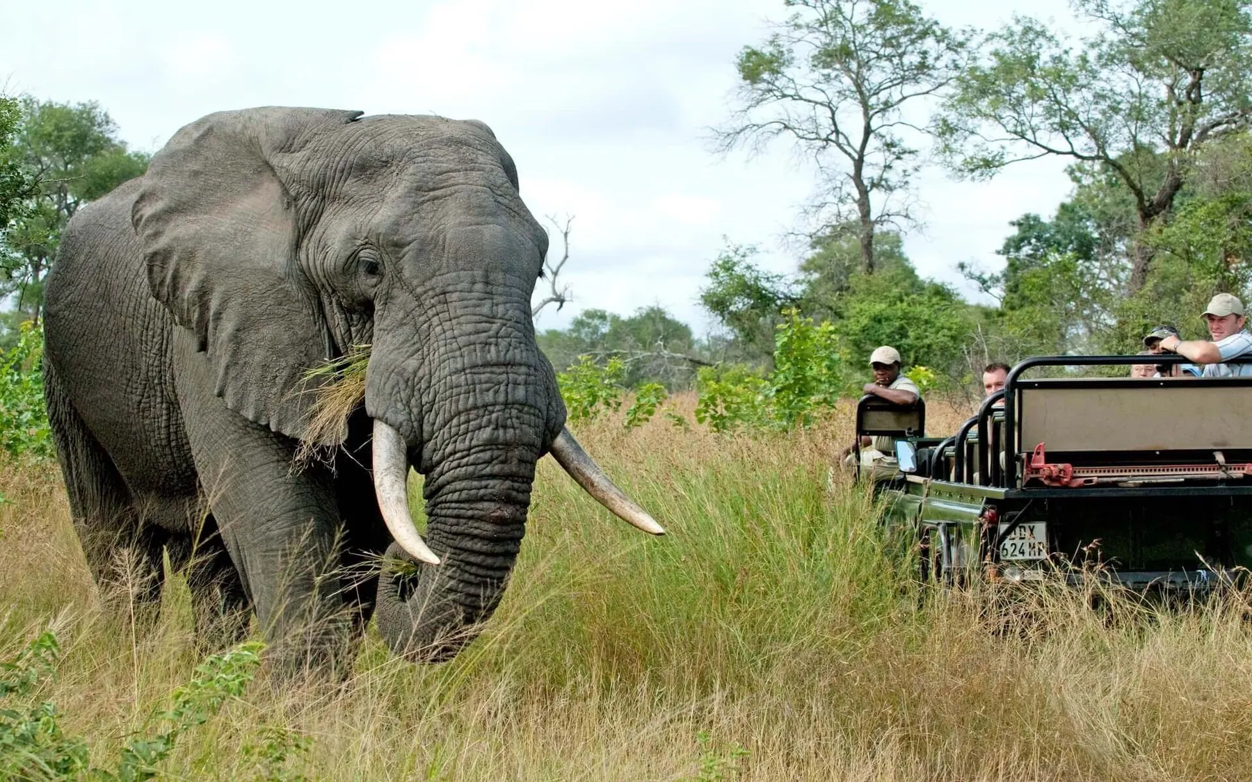 Tanzania travel image