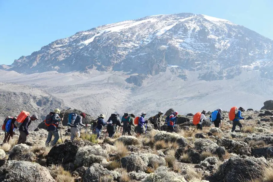 7 Days Lemosho Route