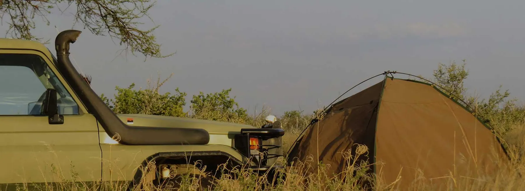 4 Days Luxury Northern Tanzania Safari