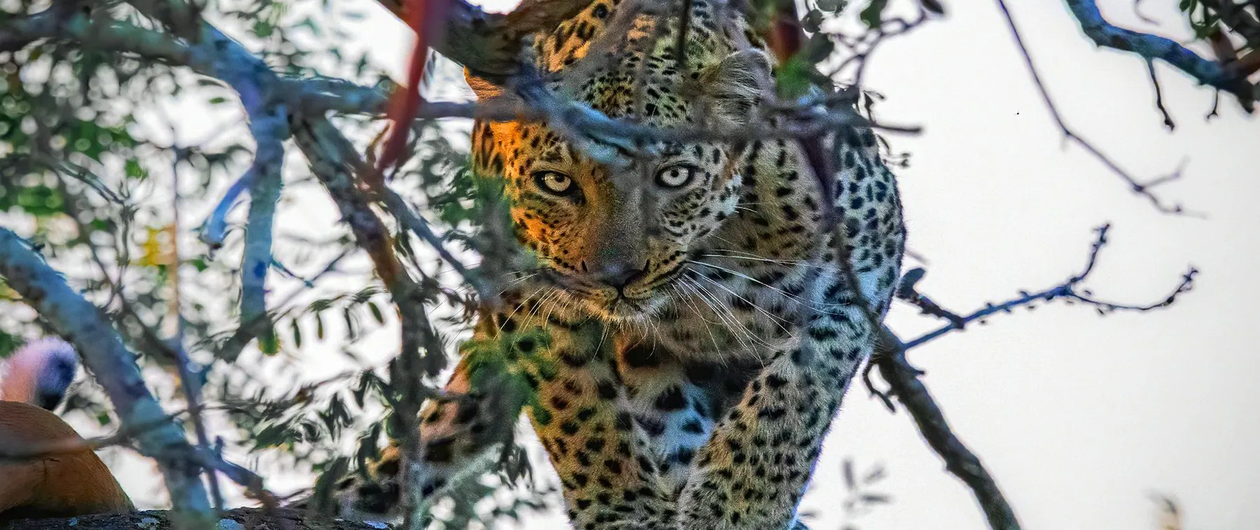 Tanzania travel image
