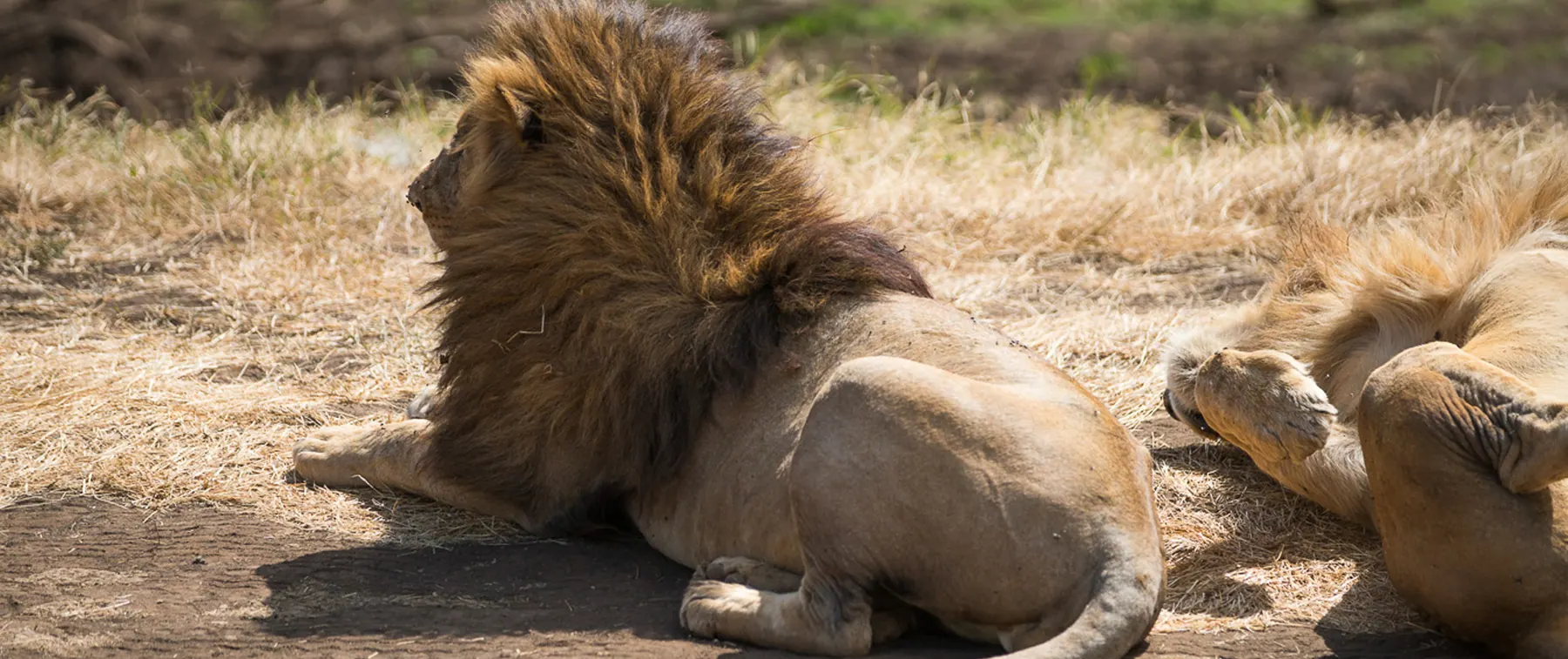 Tanzania travel image
