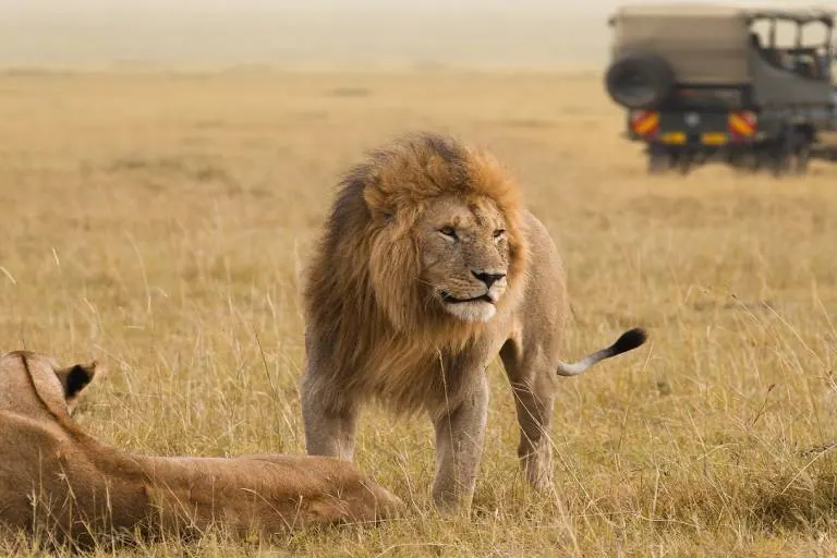 Tanzania travel image