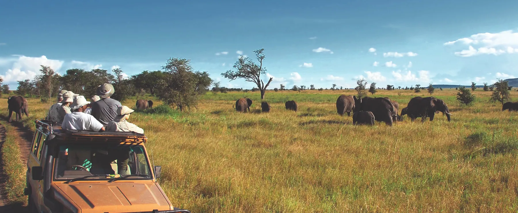 Serengeti vs Ngorongoro: Which Safari Is Better?
