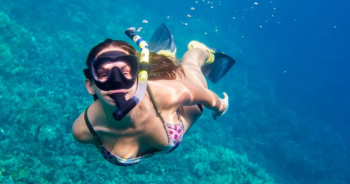 Marine & nature activities