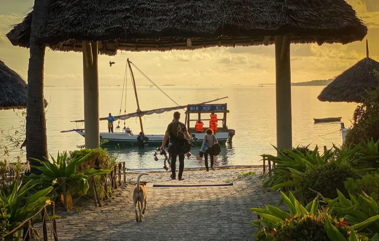 Tanzania travel image