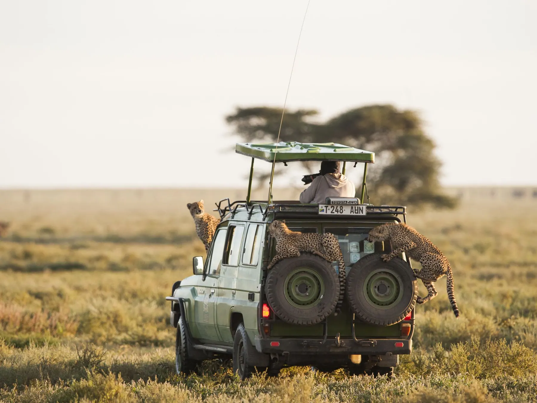 Tanzania travel image