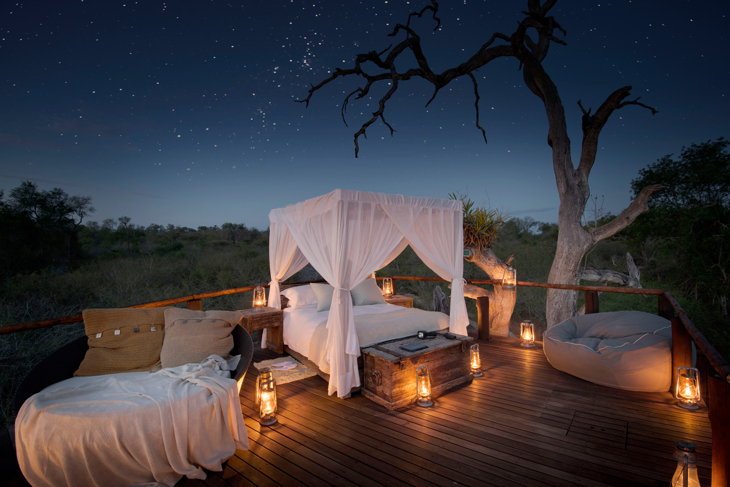 Tanzania Wildlife Safaris